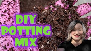 Homemade DIY Potting Mix 🌱 [upl. by Yotal]