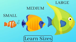 Learn and compare sizes  Small Medium Large for kids [upl. by Nowyt]