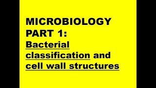 MICROBIOLOGY PART 1 Bacteria classification  cell wall structure [upl. by Enohpets]