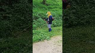 Mawer grass cutter very nice viral shorts [upl. by Nosle]