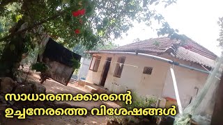 നാടൻ വീട്ടമ്മയുടെ വീട്ടുകാര്യങ്ങൾ village lifestyle vlog [upl. by Haneehs]