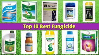 Top 10 Best Fungicide [upl. by Ahsinehs704]