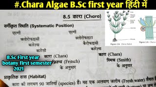 Chara Algae in hindi  BSc first year botany first semester Microbiology and plant pathology [upl. by Mclain359]