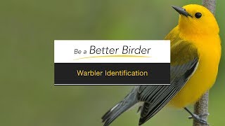 Be a Better Birder Warbler Identification [upl. by Deden]