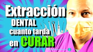 Proceso de CICATRIZACIÓN de la EXTRACCIÓN dental [upl. by Gayla]