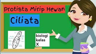 Ciliata Kelas 10  Materi Biologi Protista Mirip Hewan [upl. by Nirrad]