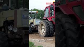 Traktoren Gespann Belarus MTS 80 und Fortschritt ZT 320 A [upl. by Vince]