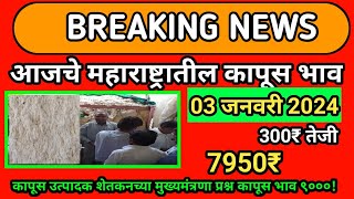 आजचे कापुस बाजार भाव दिनांक 03 जनवरी 2024  kapus bhav today  महाराष्ट्रतिल कापूस भाव [upl. by Eirellam]