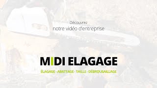 Entreprise délagage à Cuers 83  MIDI ELAGAGE [upl. by Ebeohp]