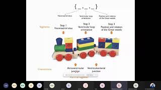 Sequential Segmental Analysis in Congenital Heart Disease Echocardiography by Dr Shreedhar Joshi [upl. by Iek70]