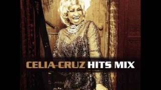 Celia Cruz La Vida Es Un Carnaval ReggaeLatino Mix [upl. by Woothen]