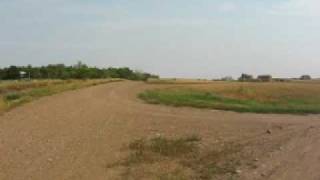 Killdeer Saskatchewan [upl. by Bartram]