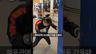 🥊🔥 빠르고 날카로운 펀치만드는법➡️ 아주 쉽게 할 수 있는 트레이닝 방법이에요 더 자세한 내용은 이번주 유튜브에 업로드됩니다🤗 복싱기술 복싱글러브 복싱 리복싱 [upl. by Assile]