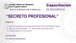 Videoconferencia quotSecreto profesionalquot [upl. by Harelda]