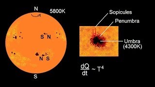 Two Weeks in the Life of a Sunspot [upl. by Yraeht]