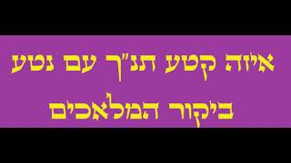 פרק 274  ביקור המלאכים [upl. by Yddet]