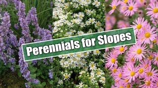 Gardening on Slopes Here Are 10 Perennials for Sun and Shade [upl. by Aerised326]