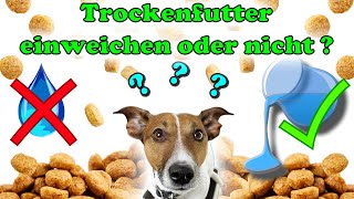 Trockenfutter einweichen oder nicht   Das ist hier die Frage 😁🤗  Was macht Sinn und warum [upl. by Heindrick758]