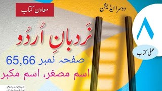 Nardban Urdu class 8 pg 6566  اسم مصغر اور اسم مکبر  types of nouns in urdu [upl. by Neyuh898]