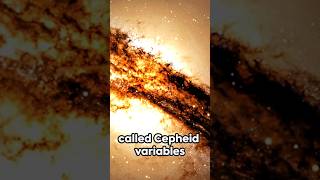 Cosmic Yardsticks The Role of Cepheid Stars space universe youtubeshorts youtube trending [upl. by Aivartal]