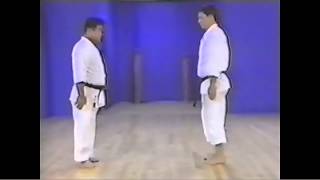 Gojuryu kata  Gekisaidaiichi  Renzoku Bunkai [upl. by Assital558]