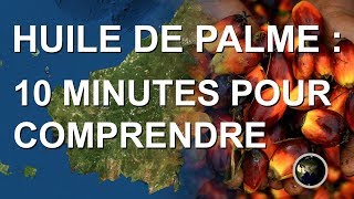 HUILE DE PALME  10 MINUTES POUR COMPRENDRE [upl. by Helali]