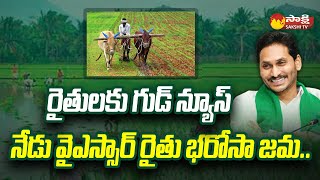 CM Jagan To Release YSR Rythu Bharosa Funds To Farmers Today  SakshiTV [upl. by Airet]