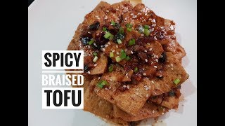 Spicy Braised Tofu [upl. by Taryn]