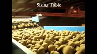 Better Built 4603 Series 60quot Potato Seed Cutter [upl. by Zednanref]