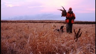 Pheasants Forever A Call to Action [upl. by Averi]