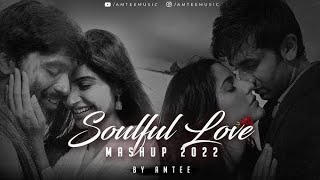 Love Mashup song 2024 New Hindi songs Amtee  Arijit Singh  AR Rahman [upl. by Taite]