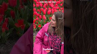 It’s Tulip Time 🌷 Keukenhof GardensThe Netherlands [upl. by Alveta712]