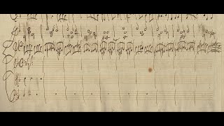 VIVALDI  Concerto facto per Monsieur Pisendel  RV 237 in D minor  Original manuscript [upl. by Andie]