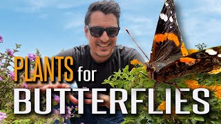 Make Butterflies Swarm to Your Garden with these Plants Plus Attract other Beneficial Wildlife [upl. by Yerocaj]