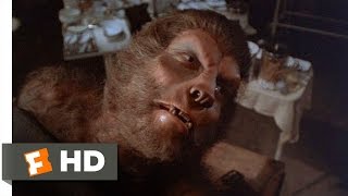 The Island of Dr Moreau 212 Movie CLIP  The Possibilities Are Endless 1977 HD [upl. by Aihtenyc]