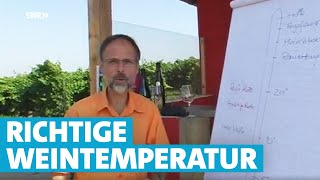 Werner erklärt Wein Die richtige Temperatur [upl. by Jehiah]