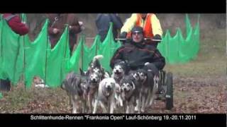 SchlittenhundeRennen quotFrankonia Openquot LaufSchönberg 1920112011 [upl. by Edge]