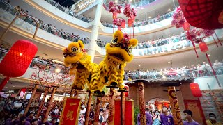 PreCNY 2024 Double Prosperity Lion Dance 🦁 by Kwong Ngai 光藝  Mid Valley KL [upl. by Gustaf]