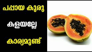 പപ്പായ കുരു ഇങ്ങനെ കഴിച്ചാൽ  Malayalam Natural Tips [upl. by Gustaf]