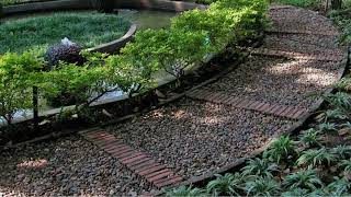 50 GARDEN PATH IDEAS  BEAUTIFUL INSPIRING GARDEN PATIO IDEAS  CALM MUSIC  NO ADVERTISIMENT [upl. by Ellinnet]