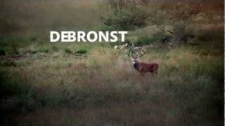 TV commercial Natuurmonumenten 2011 De bronst [upl. by Ailuy]