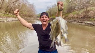 This River was LOADED with White Bass RIDICULOUS [upl. by Ytsirc]