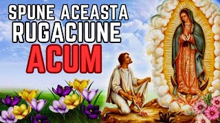 SPUNE ACEASTA RUGACIUNE ACUM catre FECIOARA MARIA si VEI PRIMI O MINUNE Rugaciune foarte puternica [upl. by Eisenstark]