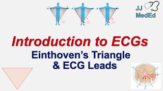 Introduction to ECG  The Basics  Einthoven’s Triangle Limb Augmented and Precordial Leads [upl. by Acebber977]