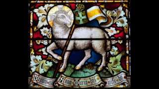 Lamb of God  Owen Alstott Candlemas Day [upl. by Iilek]