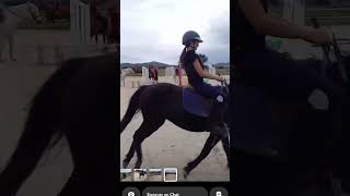 Au galop avec Tinéo horse equestrian viralshort [upl. by Caffrey]