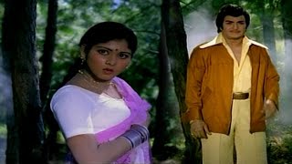 Driver Ramudu Movie  Vangamaaku Video Song  NTRJayasudha [upl. by Englebert]