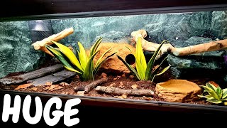 5ft Advanced Ball Python Setup UK [upl. by Digdirb]