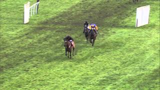 Have you seen anything like it Amazing horse race at Wincanton [upl. by Attennod]