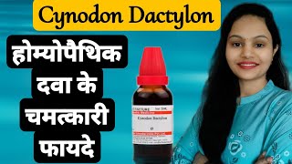 Cynodon Dactylon Q  Homeopathic mother tincture  Hemorrhage  होम्योपैथिक दवा के चमत्कारी फायदे [upl. by Ennahgem]